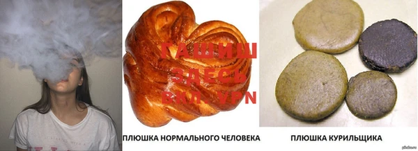 Альфа ПВП Верея