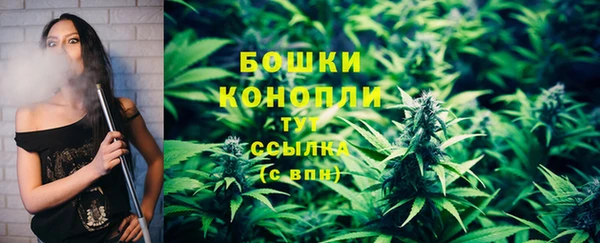 Альфа ПВП Верея