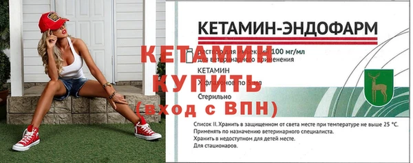 Альфа ПВП Верея