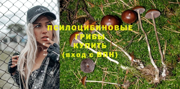 Альфа ПВП Верея