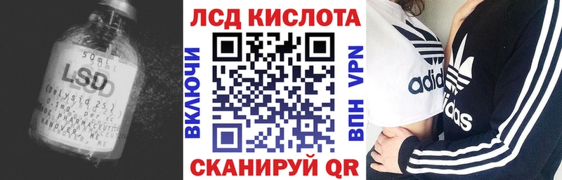 ЛСД экстази кислота  OMG онион  Новоржев 
