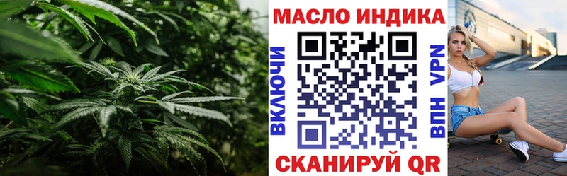 купить наркотики цена  Новоржев  Дистиллят ТГК гашишное масло 