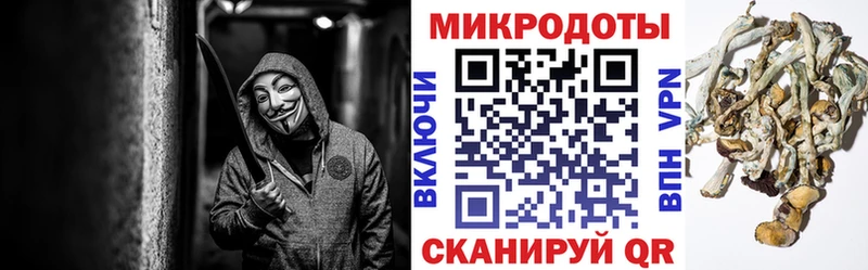 продажа наркотиков  Новоржев  МЕГА ссылки  Галлюциногенные грибы прущие грибы 