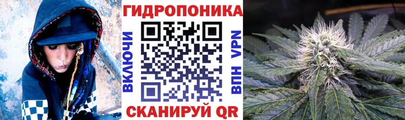 МАРИХУАНА гибрид Новоржев